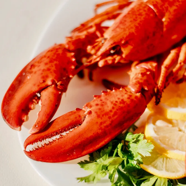 Receita de frutos do mar